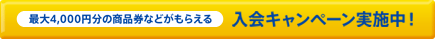 �ő�4,000�~���̏��i���Ȃǂ����炦��I����L�����y�[�����{���I